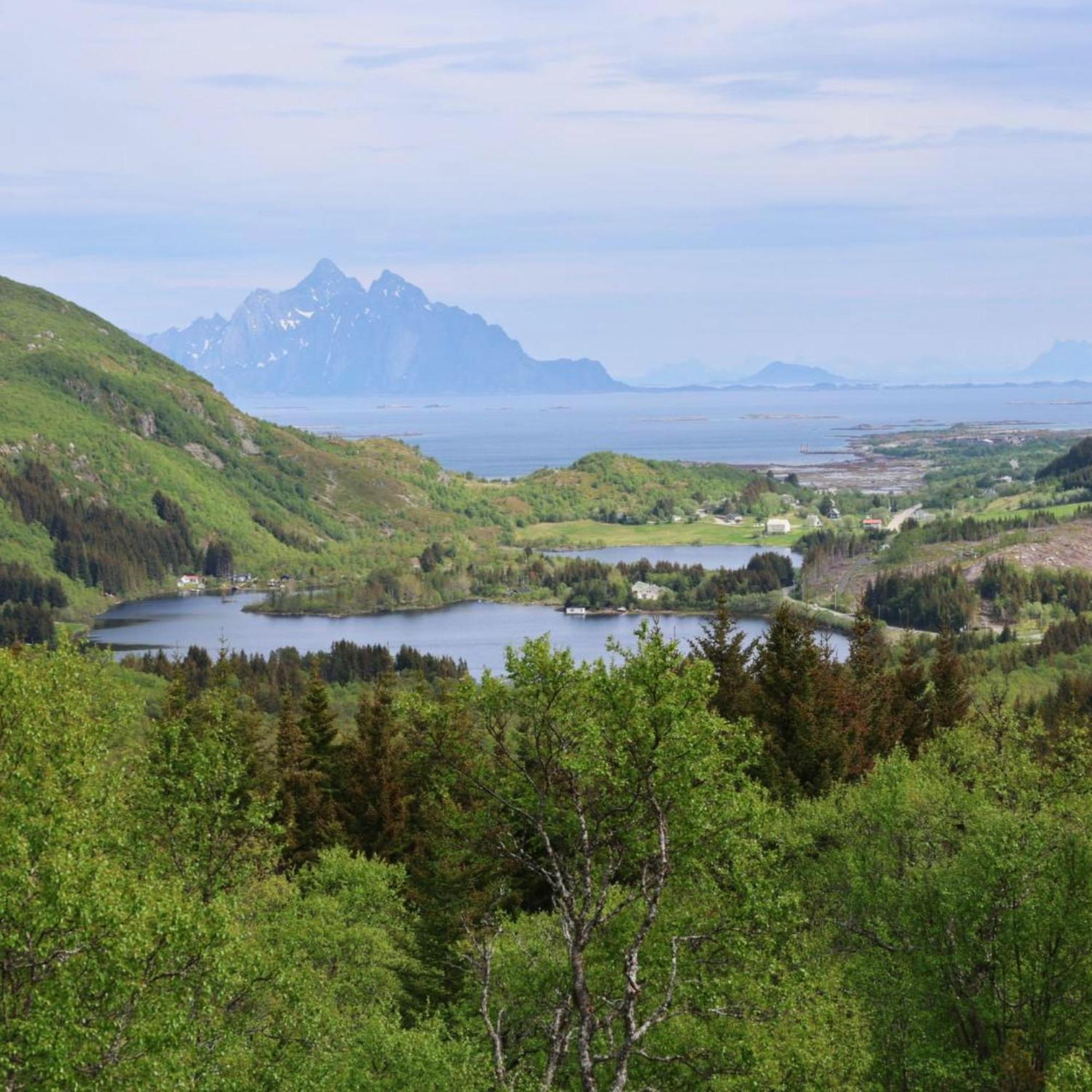 Hagstua Alpehytte